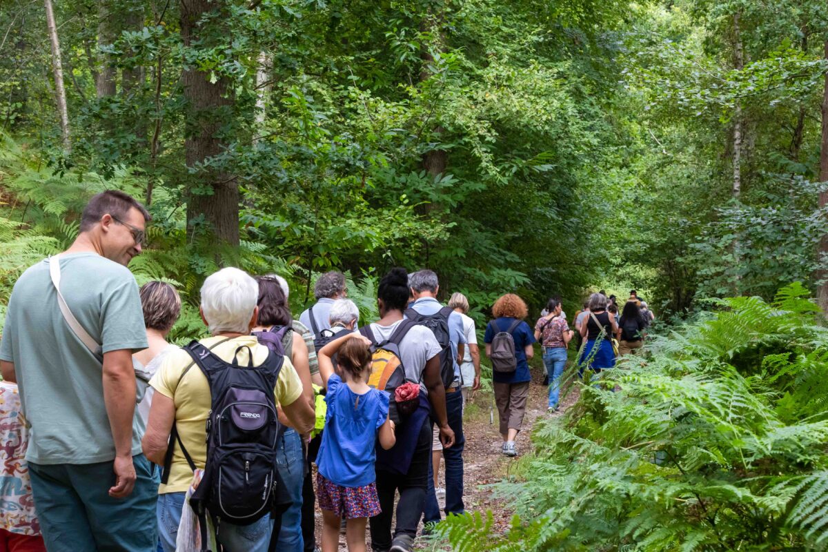 Habiter la forêt