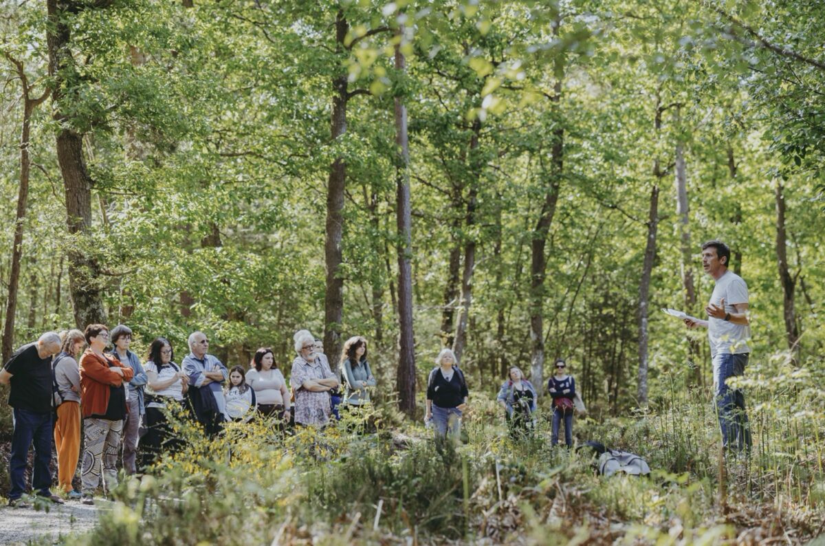 Habiter la forêt